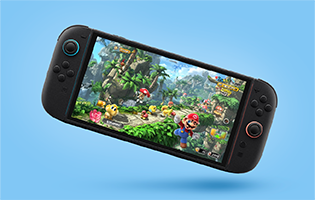 Nintendo Wallet Card