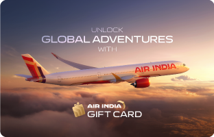 Air India Ancillary E-Gift Card