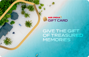 Air India Rajasthan Route E-Gift Card
