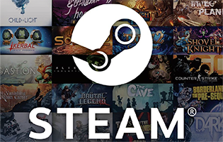 Steam Wallet Card