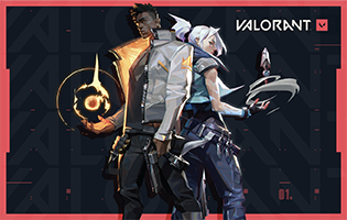 Valorant Wallet Card